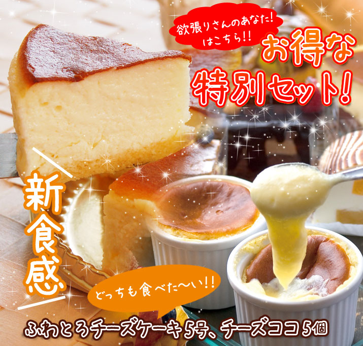 ふわとろチーズケーキ5号 チーズココ5個