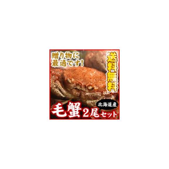 絶品毛ガニ特大姿（500g×2尾）訳ありではないボイル増量サイズ/鉄板亭 粋